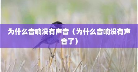 为什么音响没有声音（为什么音响没有声音了）