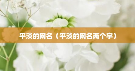 平淡的网名（平淡的网名两个字）