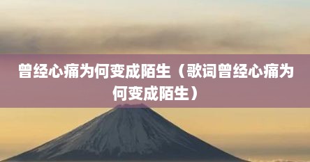 曾经心痛为何变成陌生（歌词曾经心痛为何变成陌生）