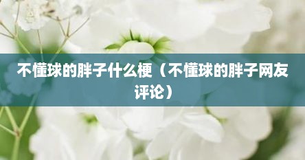 不懂球的胖子什么梗（不懂球的胖子网友评论）