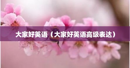 大家好英语（大家好英语高级表达）