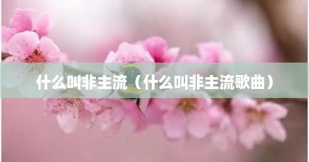什么叫非主流（什么叫非主流歌曲）