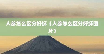 人参怎么区分好坏(人参怎么区分好坏图片)