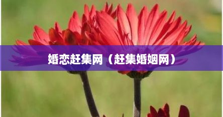 婚恋赶集网(赶集婚姻网)