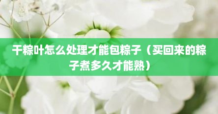 干粽叶怎么处理才能包粽子(买回来的粽子煮多久才能熟)