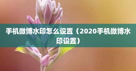 手机微博水印怎么设置(2020手机微博水印设置)