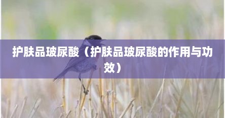 护肤品玻尿酸(护肤品玻尿酸的作用与功效)