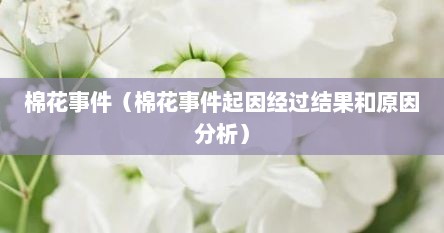 棉花事件(棉花事件起因经过结果和原因分析)