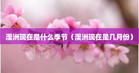 澳洲现在是什么季节(澳洲现在是几月份)