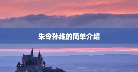 朱令孙维的简单介绍
