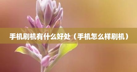 手机刷机有什么好处(手机怎么样刷机)