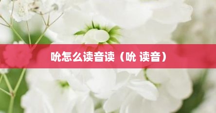 吮怎么读音读(吮 读音)