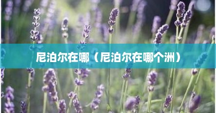 尼泊尔在哪(尼泊尔在哪个洲)