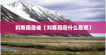刘易阳是谁(刘易阳是什么意思)