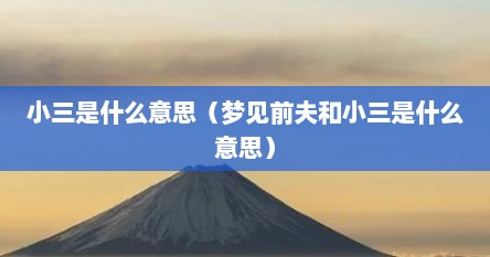 小三是什么意思(梦见前夫和小三是什么意思)
