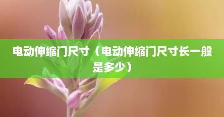 电动伸缩门尺寸（电动伸缩门尺寸长一般是多少）