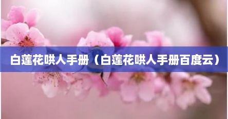 白莲花哄人手册(白莲花哄人手册百度云)