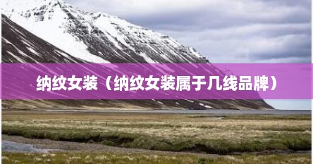 纳纹女装(纳纹女装属于几线品牌)
