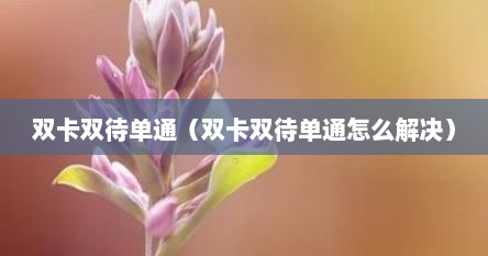 双卡双待单通（双卡双待单通怎么解决）