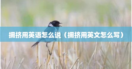 拥挤用英语怎么说（拥挤用英文怎么写）