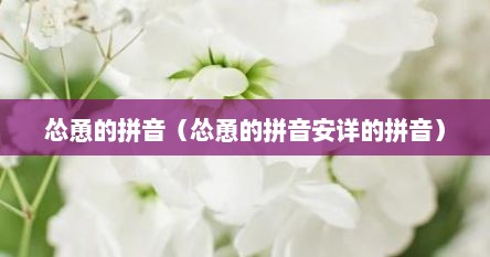 怂恿的拼音（怂恿的拼音安详的拼音）
