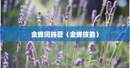 金蝉同阵营（金蝉技能）