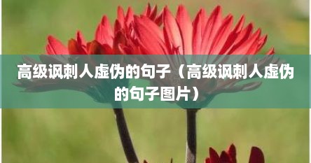 高级讽刺人虚伪的句子（高级讽刺人虚伪的句子图片）