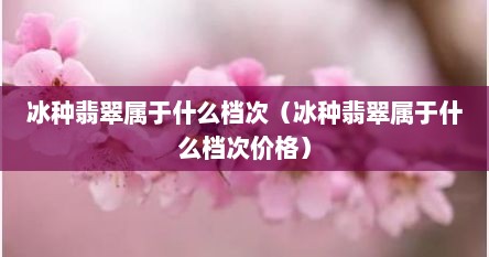 冰种翡翠属于什么档次（冰种翡翠属于什么档次价格）