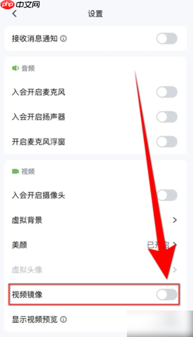 腾讯视频会议如何设置镜像 怎么设置腾讯会议视频镜像启用