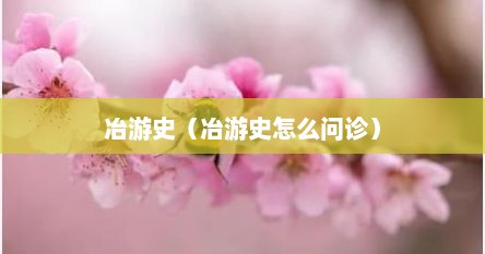 冶游史（冶游史怎么问诊）