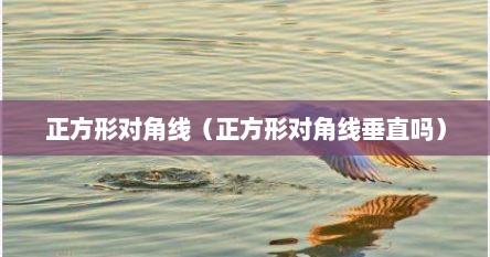 正方形对角线(正方形对角线垂直吗)