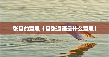 张目的意思（目张词语是什么意思）