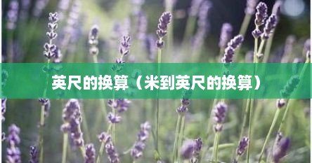 英尺的换算(米到英尺的换算)