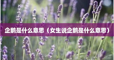 企鹅是什么意思(女生说企鹅是什么意思)