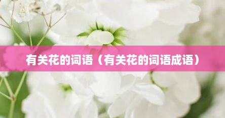 有关花的词语(有关花的词语成语)