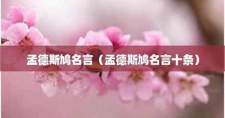 孟德斯鸠名言(孟德斯鸠名言十条)