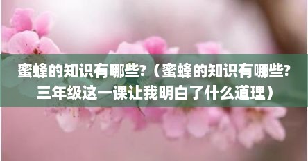 蜜蜂的知识有哪些?(蜜蜂的知识有哪些?三年级这一课让我明白了什么道理)