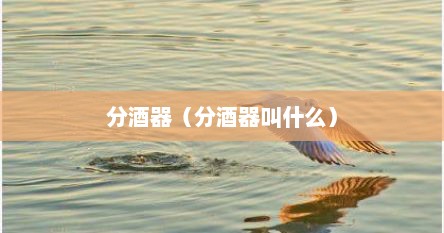 分酒器（分酒器叫什么）