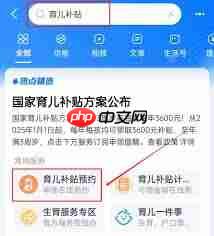 国家育儿补贴官网入口在哪