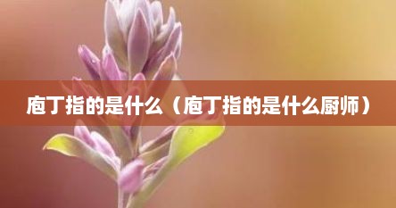 庖丁指的是什么（庖丁指的是什么厨师）