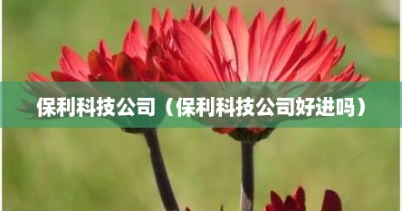 保利科技公司（保利科技公司好进吗）