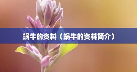 蜗牛的资料（蜗牛的资料简介）