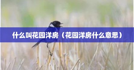 什么叫花园洋房（花园洋房什么意思）