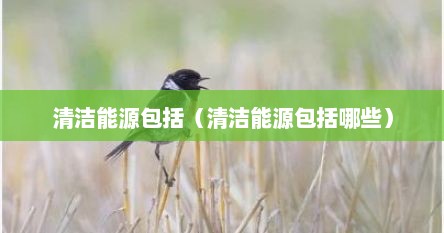 清洁能源包括（清洁能源包括哪些）