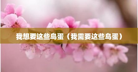 我想要这些鸟蛋（我需要这些鸟蛋）