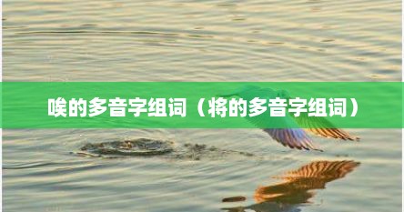 唉的多音字组词（将的多音字组词）