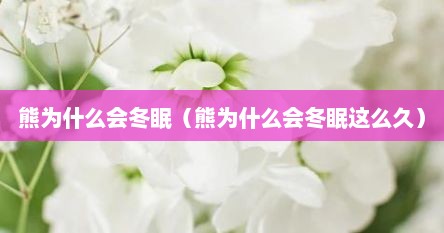 熊为什么会冬眠（熊为什么会冬眠这么久）