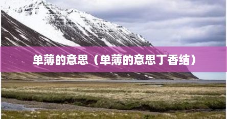单薄的意思（单薄的意思丁香结）