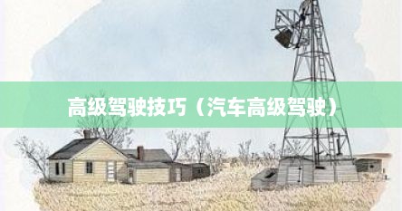 高级驾驶技巧（汽车高级驾驶）