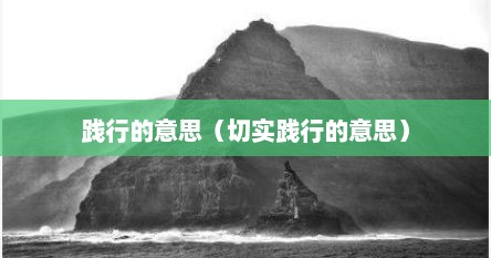 践行的意思（切实践行的意思）